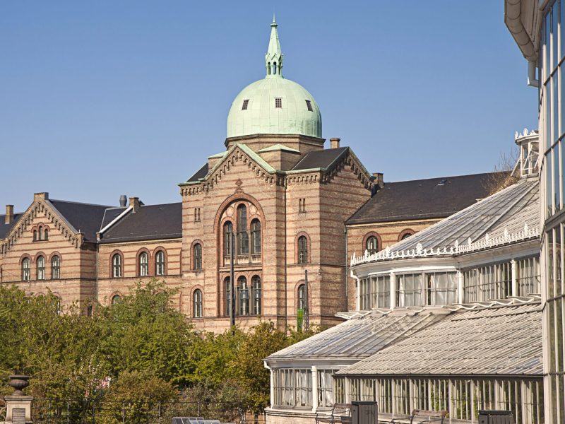 Copenhagen, Municipal Hospital and glasshouses of the  Botanical Garden