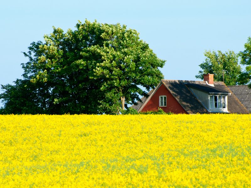 Ländliches Idyll