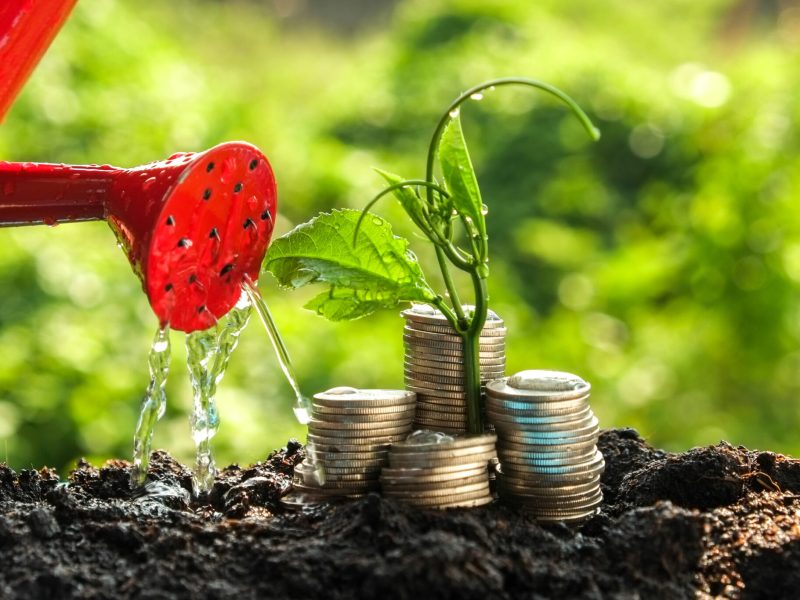 Money growth concept plant growing out of coins